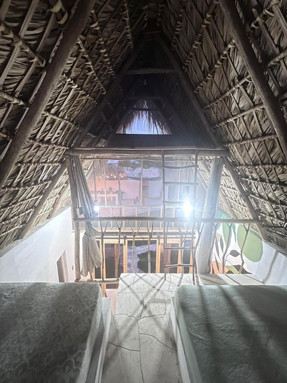 Blue Beach Eco-Hotel By Sanfabini Bayahíbe Eksteriør billede
