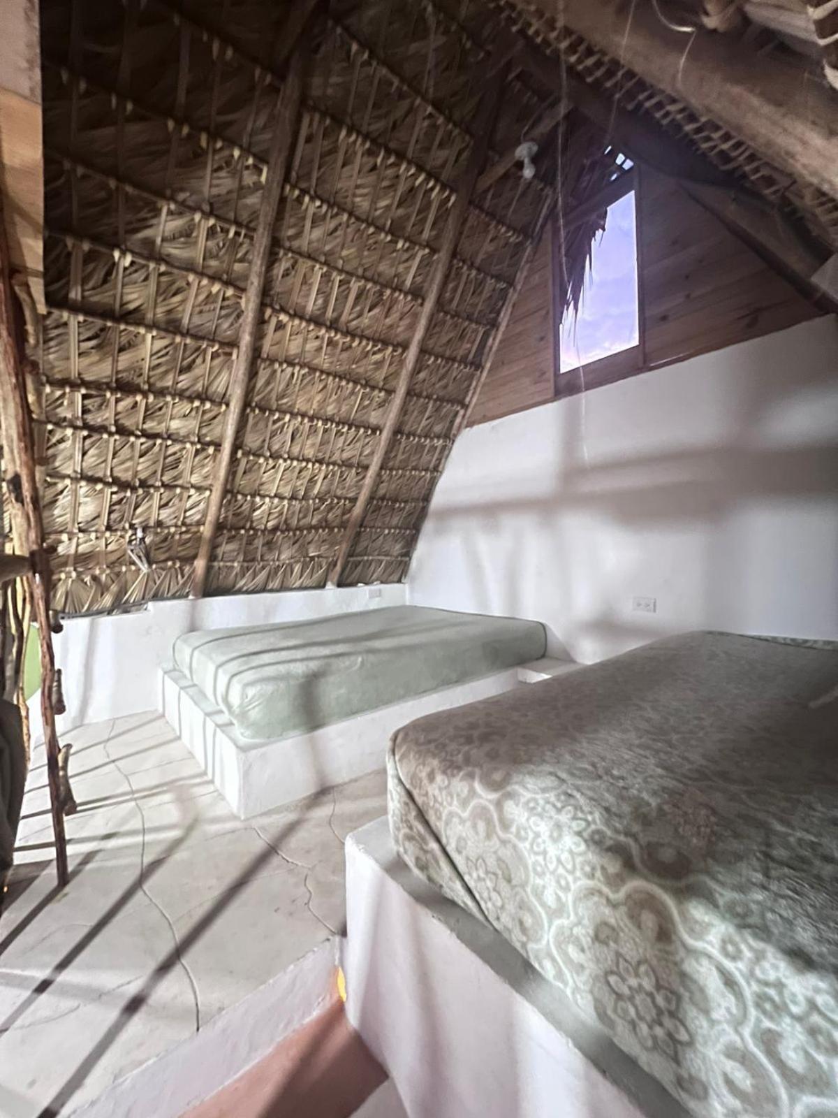 Blue Beach Eco-Hotel By Sanfabini Bayahíbe Eksteriør billede